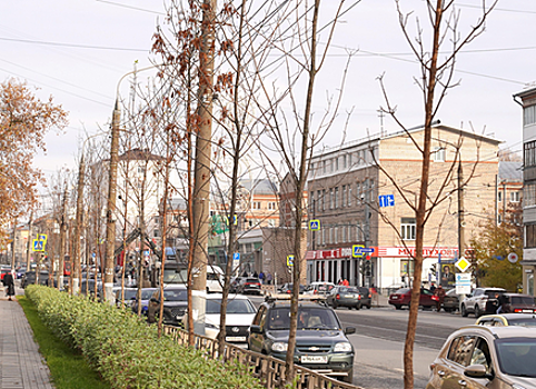 16 ясеней высадили на улице Ленина в Ижевске