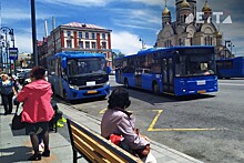 Кожемяко, Шестаков, прокуратура и Минтранс разберутся с неадекватными автобусниками Владивостока