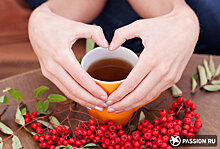 Чашка чая защитит от инфаркта и инсульта