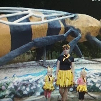Памятник-гигант: в Запорожской области «поселилась» 7-метровая пчела