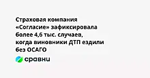 Страховая компания «Согласие» зафиксировала более 4,6 тыс. случаев, когда виновники ДТП ездили без ОСАГО