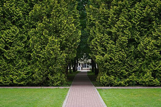 Лошади, бабочки и умные технологии: как устроен детский центр реабилитации и образования № 7