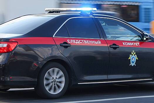 ФСБ задержала смотрящего за российским регионом криминального авторитета