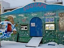 «Воют от голода». Жители города в Башкирии просят спасти животных зоопарка