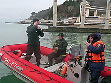 СМИ узнали о первых результатах расшифровки «черных ящиков» Ту-154