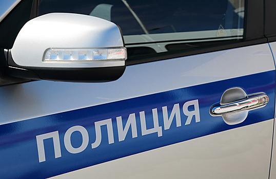 Задержание администратора телеграм-канала «Кремлевская прачка»: стандартная фабула без фактов