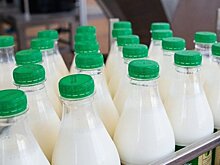 В Челнах планируют запустить молочное производство