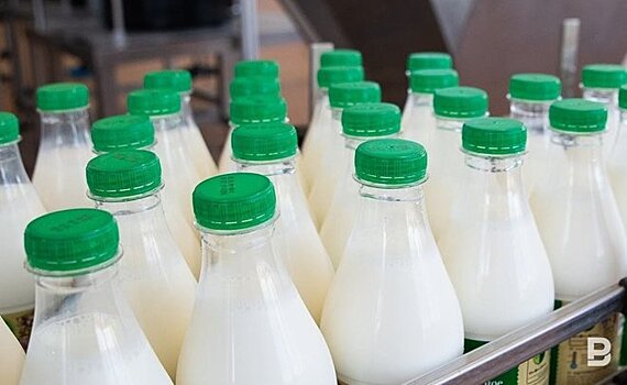 В Челнах планируют запустить молочное производство