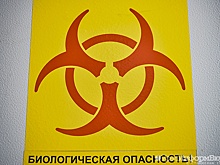 В тюменском банке полыхнул COVID-19