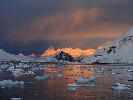 Подо льдом Антарктиды обнаружили живые организмы