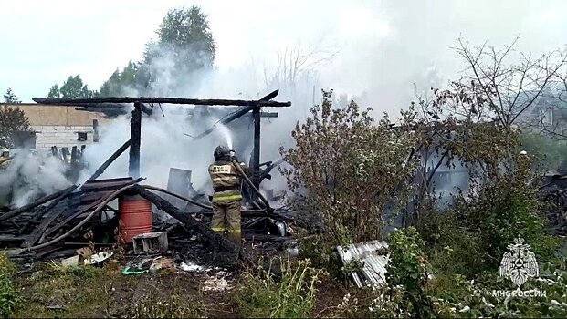 В Кирове в пожаре в садовом доме пострадали мужчина и женщина