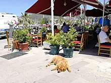 Отдых с клопами: семья из Екатеринбурга отсудила компенсацию у туроператора