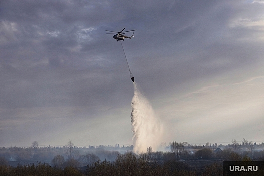 В России за сутки потушили 75 лесных пожаров