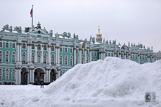 Названы самые болезненные для петербуржцев темы 2019 года