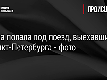 Корова попала под поезд, выехавший из Санкт-Петербурга - фото