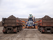 В Пензенской области собрано более 400 тыс. тонн сахарной свеклы