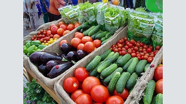 "Единая Россия" организовала поставку Нуждающимся свежих овощей