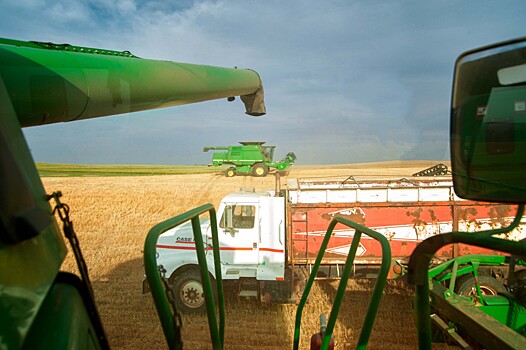 Российские аграрии выбирают зерноуборочные комбайны отечественного производства