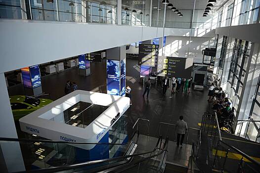 В Московском аэропорту ограничили полеты