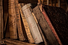 Две библиотеки Конькова присоединятся к акции «Списанные книги»