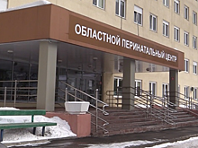 Во Владимирской области за три дня на свет появились 40 детей