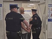 Напавшего на ребенка в Шереметьево мужчину могут лишить свободы на 15 лет