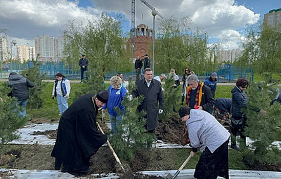 В Москве высадили кедровую аллею в память о погибших в ходе боевых действий военкорах