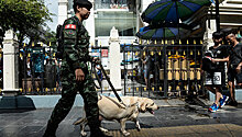 Полиция Таиланда установила организатора взрывов на курортах