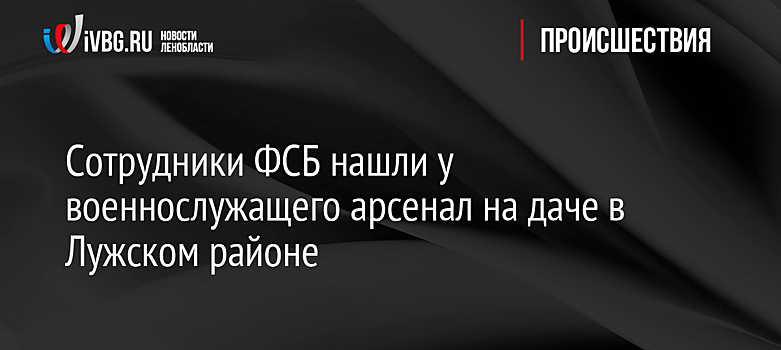 Сотрудники ФСБ нашли у военнослужащего арсенал на даче в Лужском районе