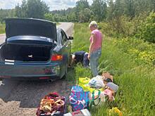 Рязанская полиция помогла заменить колесу матери с детьми на дороге