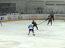 «Дизель» победил в очередном домашнем матче