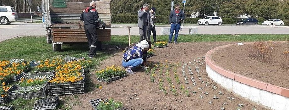 В Пущино скоро приступят к весенней высадке первых цветов на городские клумбы