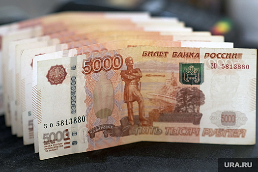 Блогер Митрошина заявила, что погасила основную часть долгов по налогам
