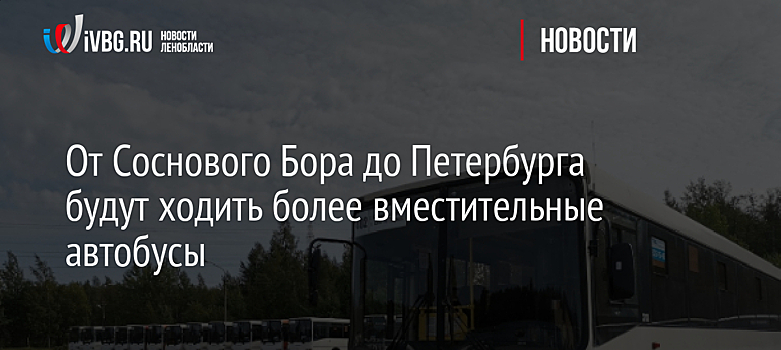 От Соснового Бора до Петербурга будут ходить более вместительные автобусы