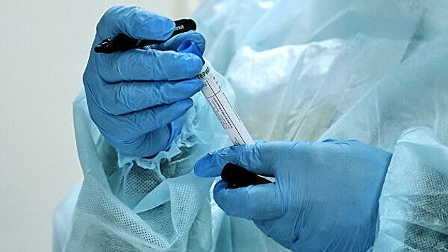 Число заразившихся коронавирусом на Украине за ночь увеличилось до 804