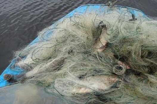 У псковских браконьеров за неделю изъяли 22,5 кг рыбы
