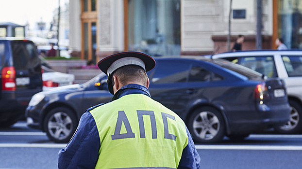Не дураки на дорогах: воронежцы проверят себя на знание ПДД