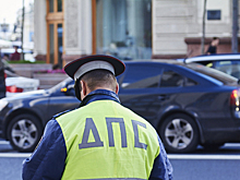 Не дураки на дорогах: воронежцы проверят себя на знание ПДД