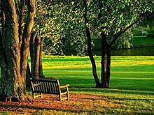 В Никольске пенсионера арестовали за приставания к девочкам в парке