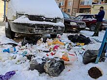 Депутат о банкротстве регоператора: «В новогодние праздники Новосибирск погрязнет в мусоре»