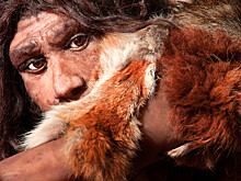 Назван неожиданный продукт, повлиявший на эволюцию человека