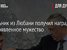 Школьник из Любани получил награду за проявленное мужество