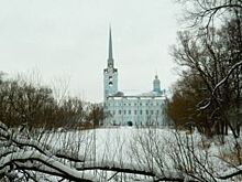 Больше замахов, чем ударов. Арендатор не спас Петропавловский парк