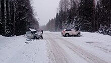 Двое взрослых и ребенок погибли в ДТП на трассе в Карелии