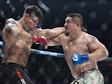 Бывший чемпион UFC не выдержал кровопролития и сдался