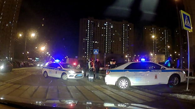 В Ленобласти возбудили дело в отношении водителя, задержанного после погони