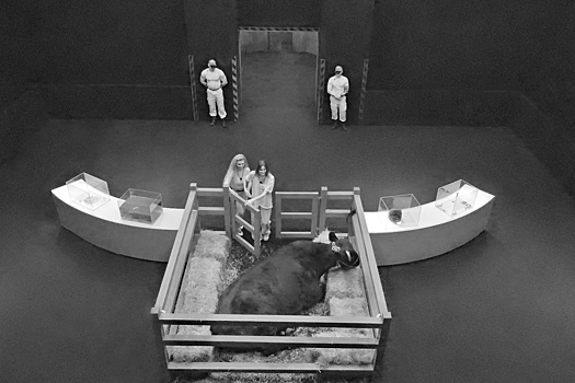 Шоу "В темноте" с Сергеем Буруновым выходит на ТВ 16 марта