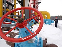 Киев назвал главную причину интереса к российскому газу