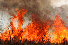 Ситуация с пожарами в Волгоградской области стабилизировалась - МЧС