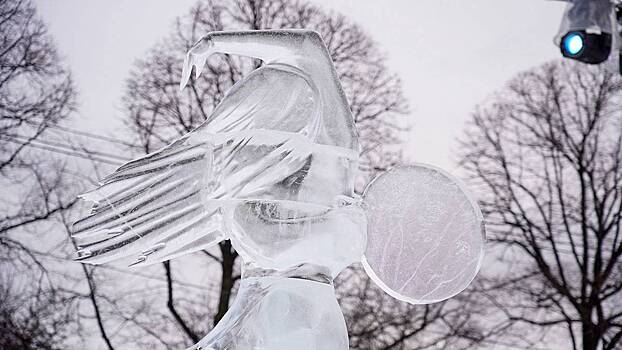 Голосование за самую красивую ледяную скульптуру стартовало на портале «Активный гражданин»